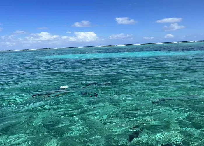 Residences At Barrier Reef 3b Oceanview 2 Bedroom By Floreo * San Pedro (Ambergris Caye)