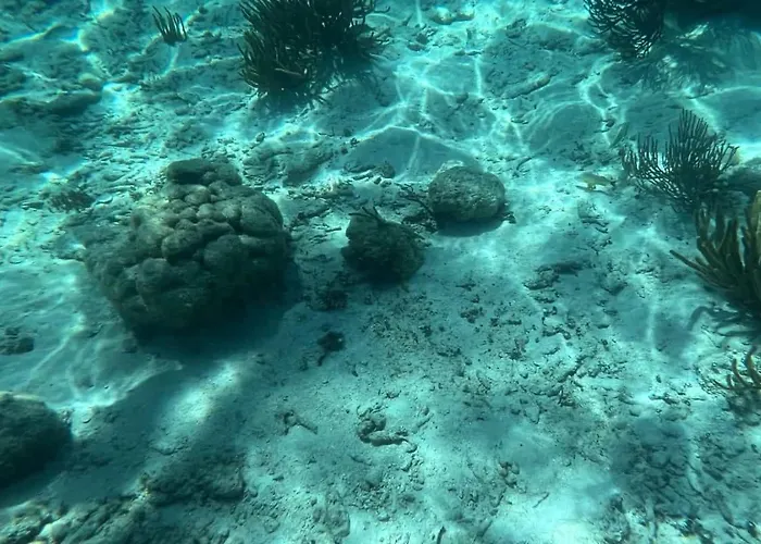 Residences At Barrier Reef 3b Oceanview 2 Bedroom By Floreo * San Pedro (Ambergris Caye)